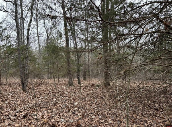 547 MC 3002, Yellville, AR 72687