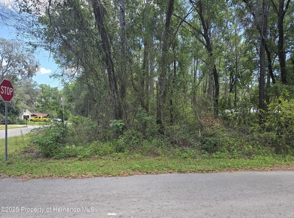 3546 E Diana Lane, Inverness, FL 34453