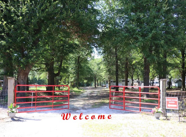 301 Ernest Johnson Road, Wagener, SC 29164