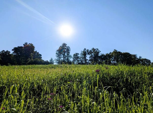 Township Rd 141 NW, Somerset, OH 43783