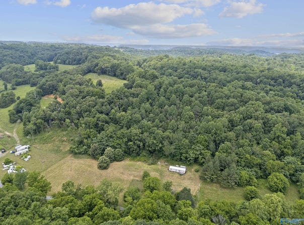 55 Thompson Hollow Road, Taft, TN 38488