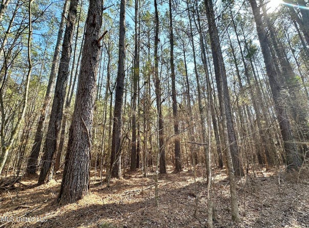7 Cut Off Road, Carthage, MS 39051