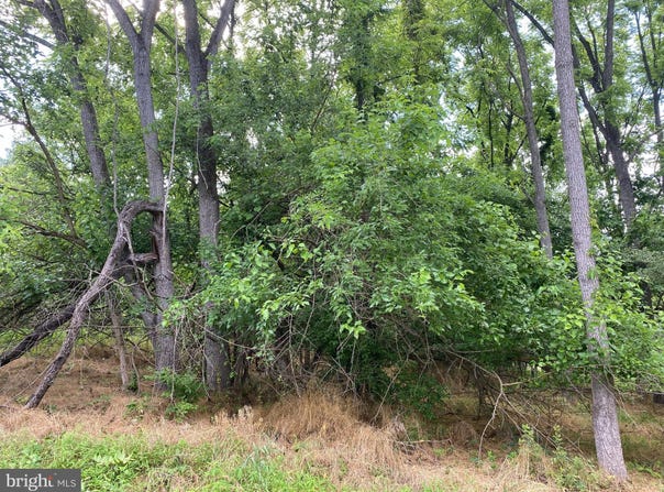 Lot 4 AMTOWER WAY, HARPERS FERRY, WV 25425