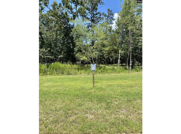546 Misty Banks Drive, Chapin, SC 29036