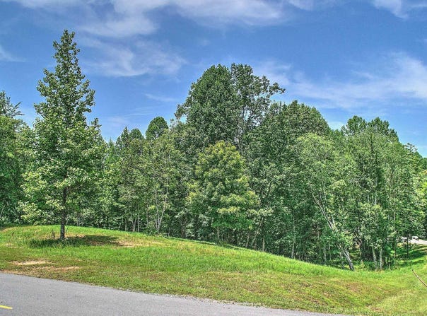 000 Chipmunk Court, Jasper, TN 37347