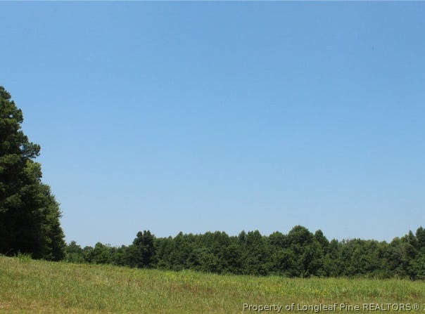 Siler City Glendon Road, Bear Creek, NC 27207