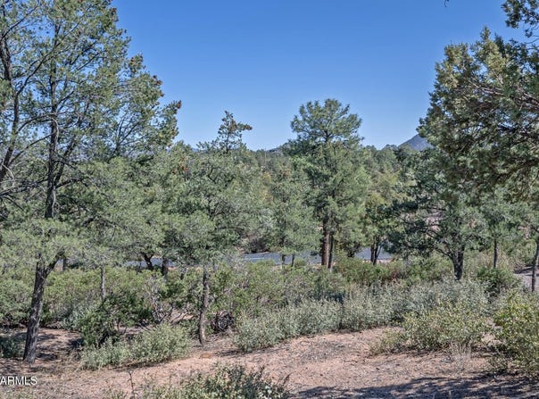 2500 E FEATHER PLUME Lane, Payson, AZ 85541