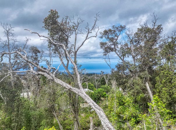 ORCHID PKWY, Ocean View, HI 96737