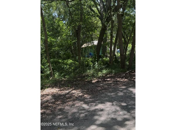 POWELL Street, Palatka, FL 32177