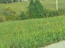 101 Grandview Circle lot: # A28, Flemingsburg, KY 41041