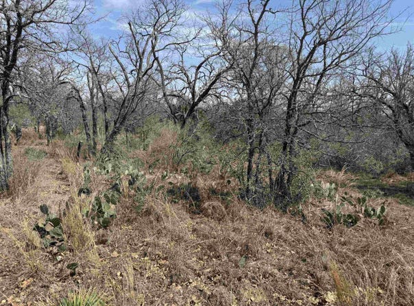 Lot 300-304 Link/Pinemont Drive, Kingsland, TX 78639