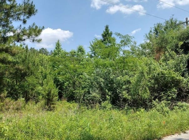 00 Lot2 Meagen Lane, Manning, SC 29102