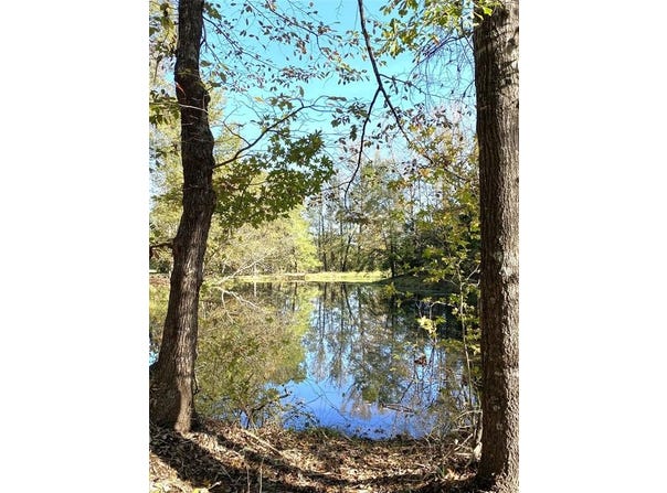 4107 CR 3800, Athens, TX 75752