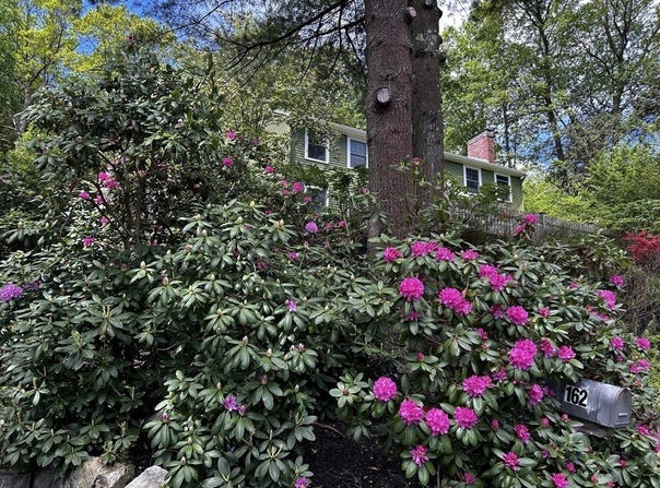162 Mayfair Dr, Westwood, MA 02090