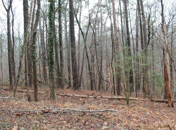 246 DRIFTWOOD CIRCLE lot: 15, PINSON, AL 35126