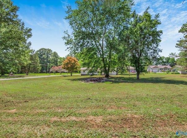 110 Park Street, Rogersville, AL 35652