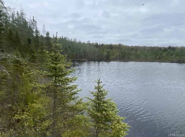 12148 33, Rapid River, MI 49878