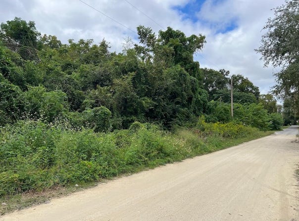 NE 40TH Place, WILLISTON, FL 32696