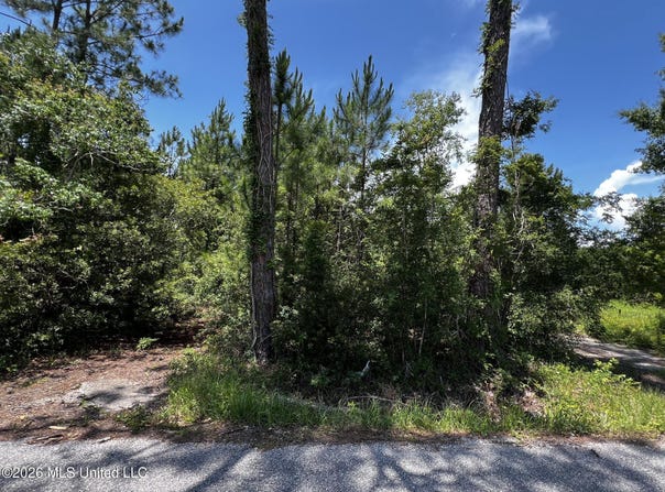 383 Morton Avenue lot: 11, Pass Christian, MS 39571