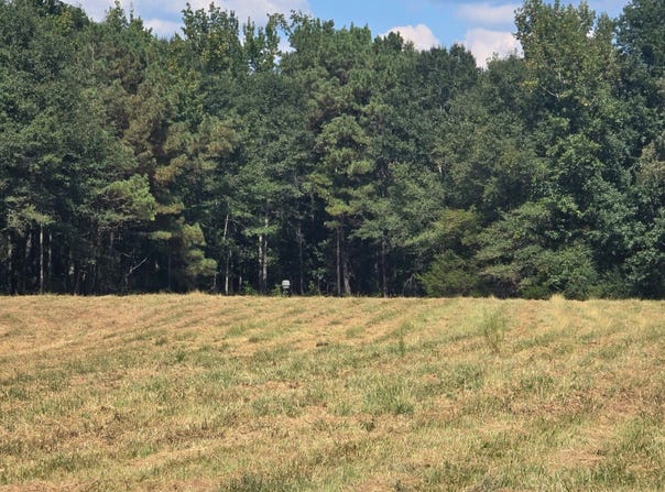 Wesley Chapel Road, Kennedy, AL 35574