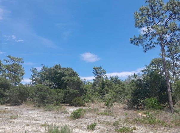 2211 SE STATE ROAD 121, MORRISTON, FL 32668