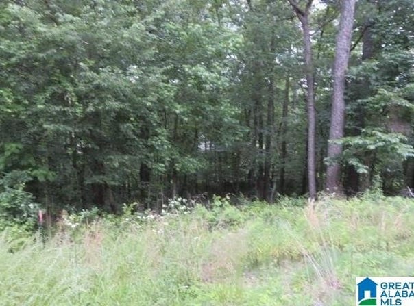 DELMAR DRIVE, MCCALLA, AL 35111