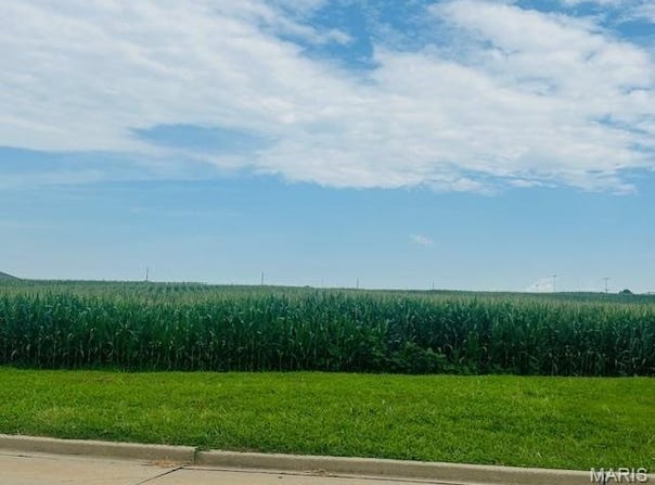Columbia Ave lot: 14, Waterloo, IL 62298