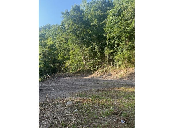 599 Pearl Hill Dr, Delbarton, WV 25670