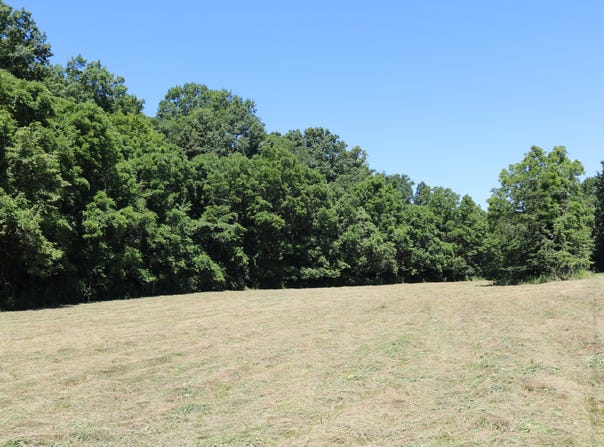 1-A Dog Walk Road, Carlisle, KY 40311