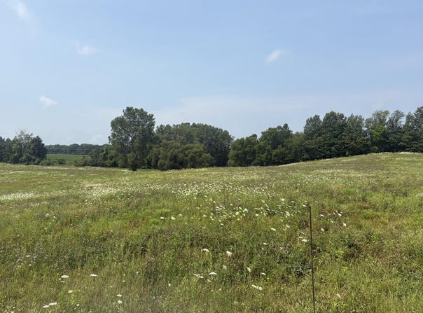 210 W Wagner Road, Buchanan, MI 49107