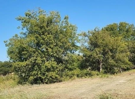 308 S Reynolds Avenue, Throckmorton, TX 76483