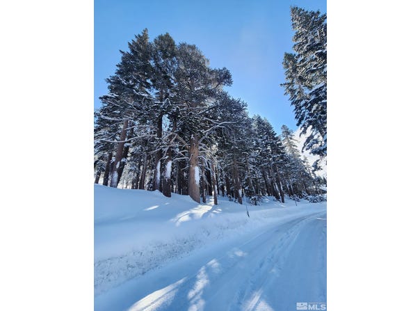529 E Meadows Drive lot: 306, Markleeville, CA