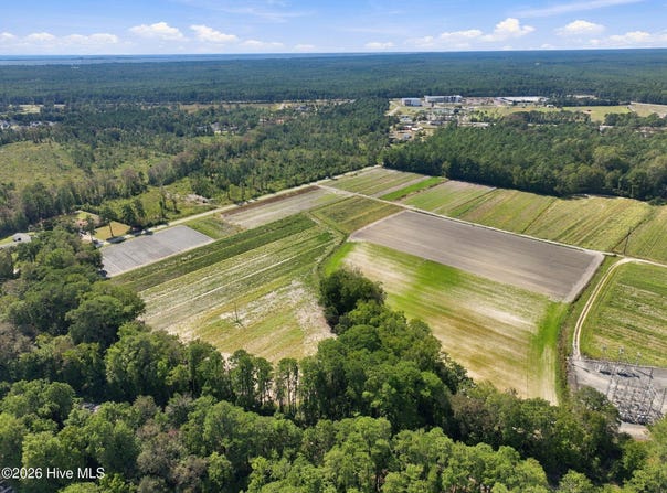 Willis Farm (68ac All 3 Lots), Newport, NC 28570