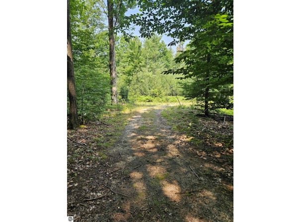 11268 WATSON ROAD, WILLIAMSBURG, MI 49690