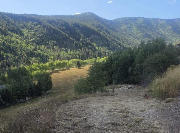 449 Mclaughlin Lane, Basalt, CO 81621