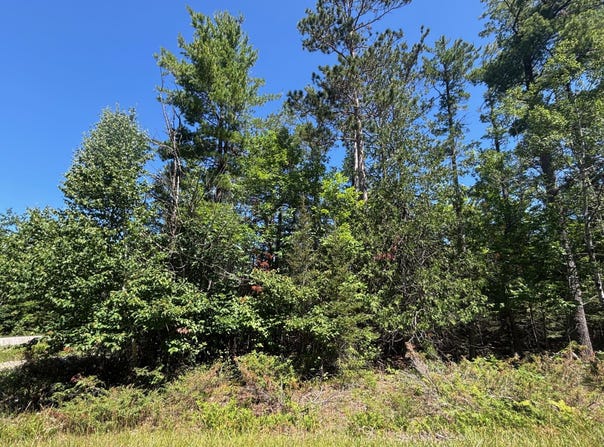 NHN Norwood Court, Presque Isle, MI 49777