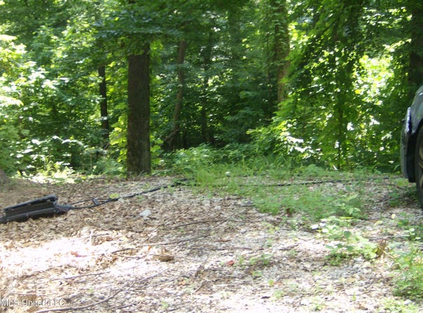 3310 Monans Rill Cove, Hernando, MS 38632