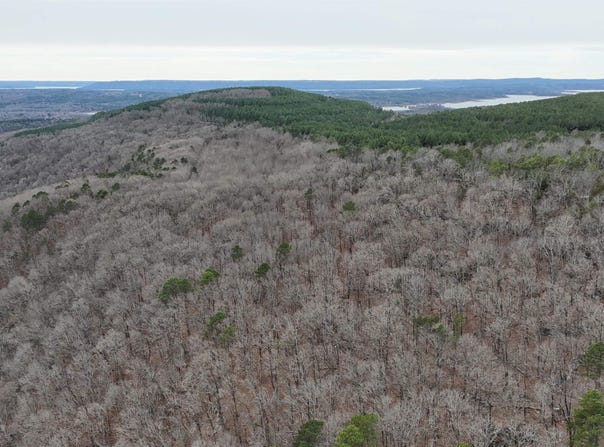 Old Brewer Rd, Edgemont, AR 72044