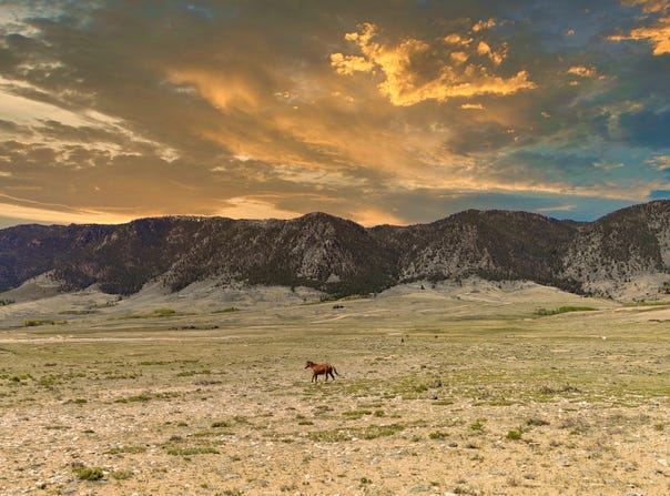 Wild Horse Ranch Lot 294, Laramie, WY 82070