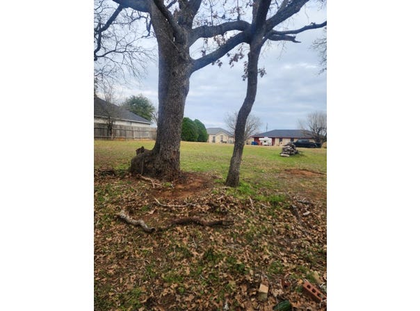 117 Allison CV, Elgin, TX 78621