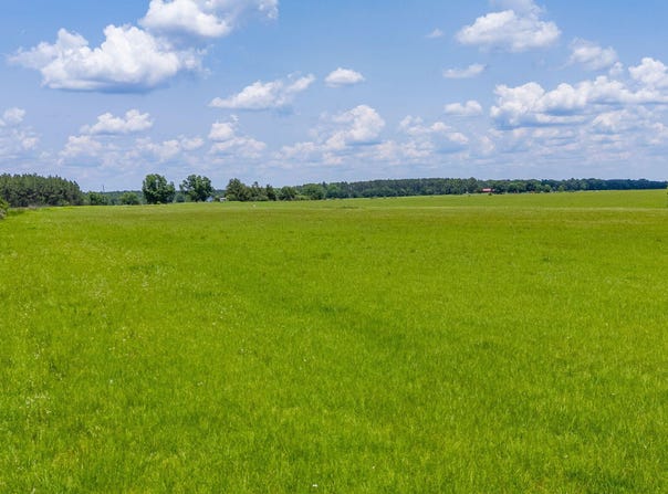 Parcel B Adams Drive, DeFuniak Springs, FL 32433