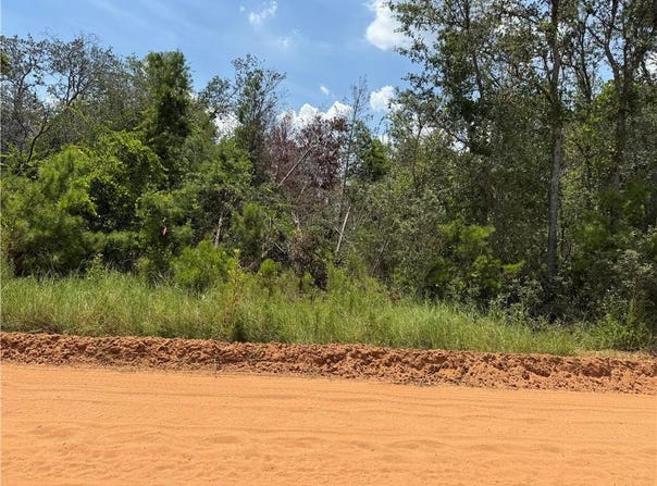 (40) Chatterton Church Road, Other, GA 31554