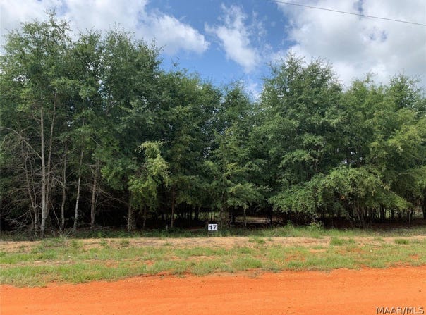 Deer Loop lot: 17, Camden, AL 36726