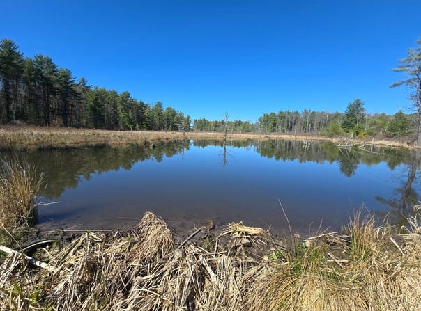 2WP County Rd 36, Norwich, NY 13815