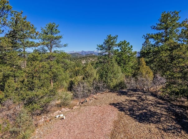 171 Thomas Ln, Cotopaxi, CO 81223