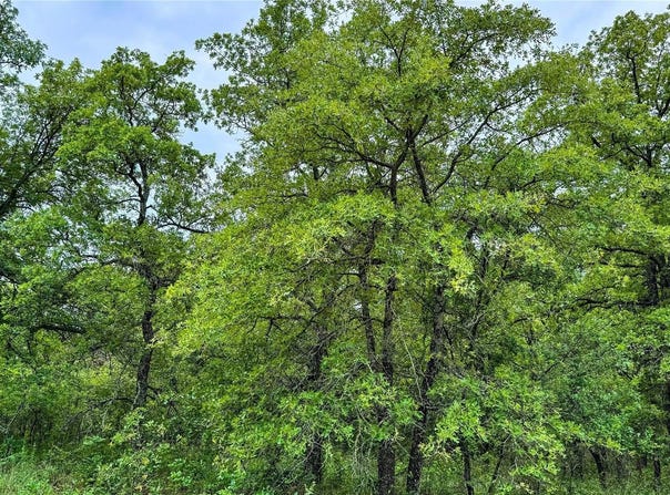 143 Briarwood Trail, Nocona, TX 76255