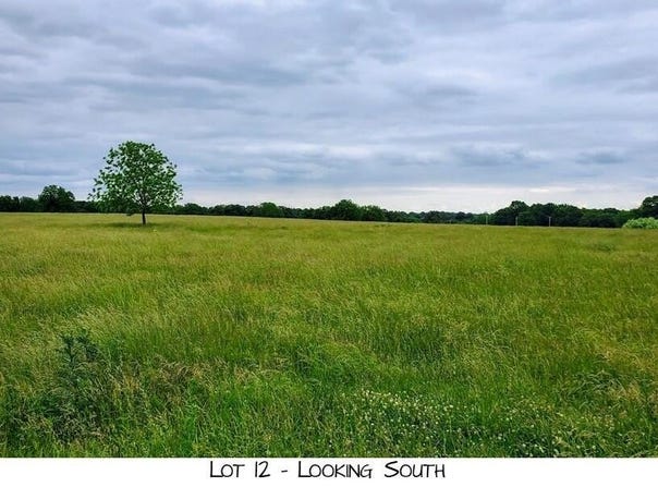 Prairie View Rd lot: 12, Brighton, MO 65617