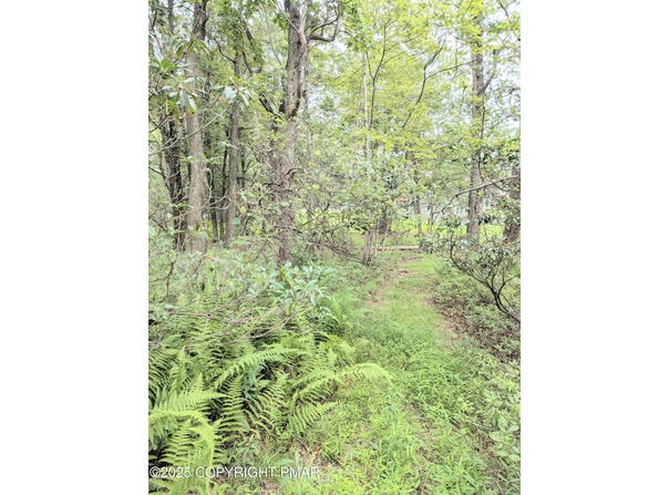 17 Birch Ln 17 Lane, Scotrun, PA 18355