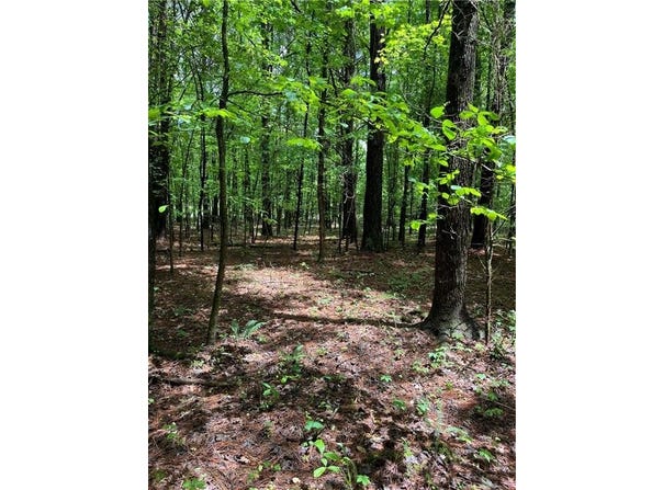 0 Teems Road, Ringgold, GA 30736