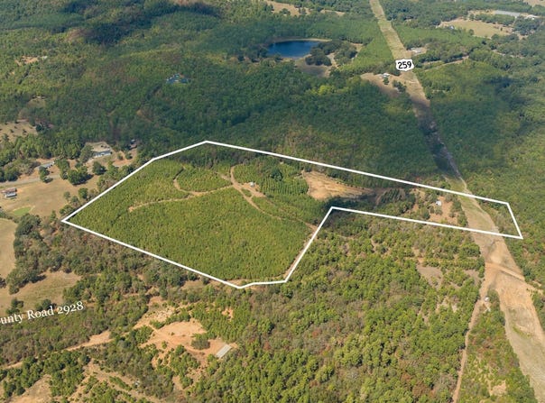 FM 250, Hughes Springs, TX 75656